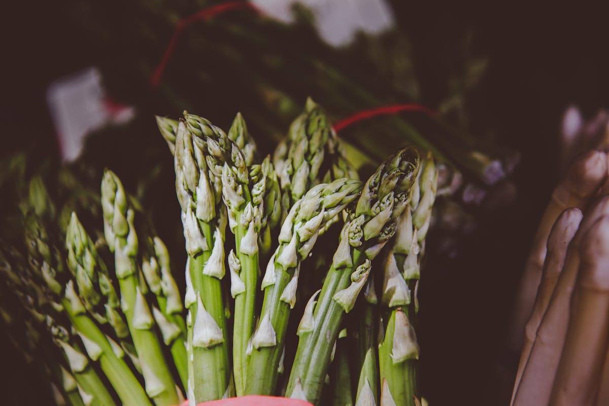 Asperge verte : cuisson, astuces et bienfaits pour sublimer ce légume de saison
