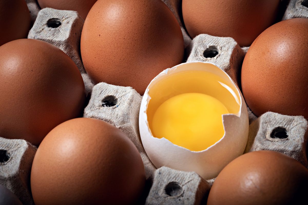 Valeur nutritionnelle de l’œuf : atouts, apports et conseils pratiques