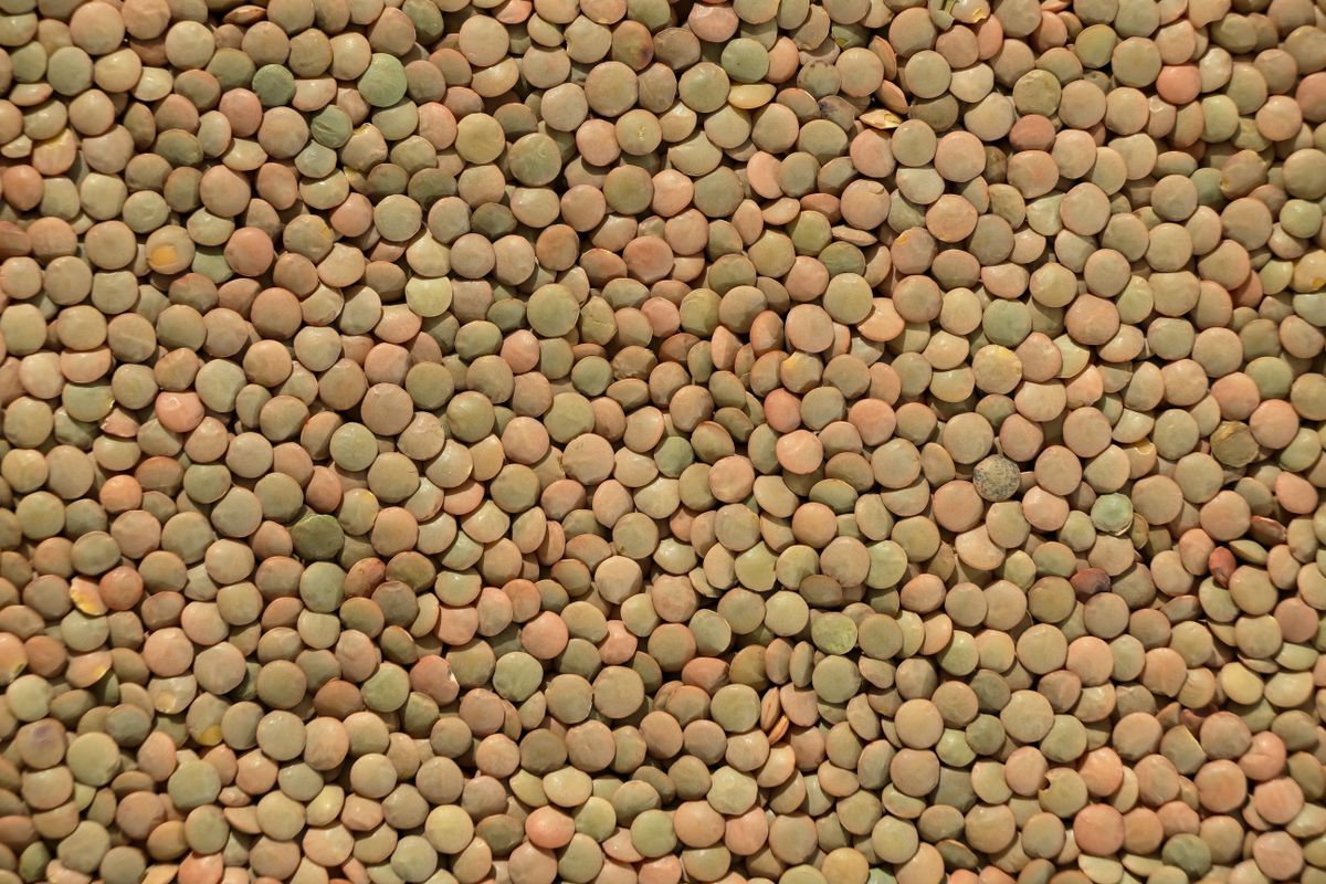 Valeurs nutritionnelles des lentilles : analyse détaillée, bienfaits et conseils pratiques