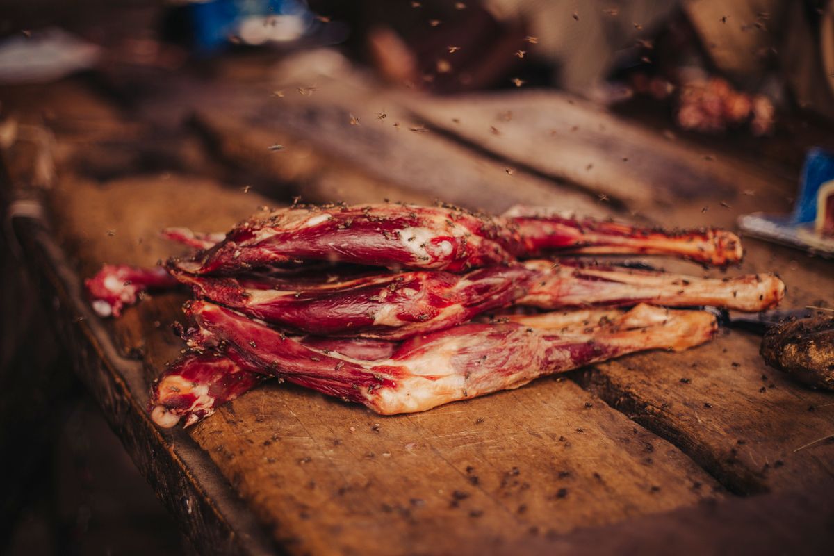 Régime carnivore : bienfaits allégués et vrais risques